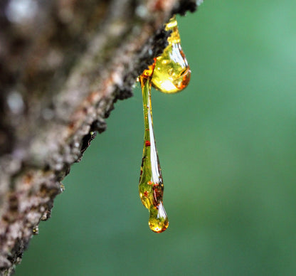 Frankincense Blend™